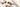 Silk Eyewear