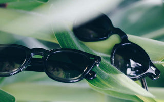 TBD Eyewear_ Sustainable_Sunglasses