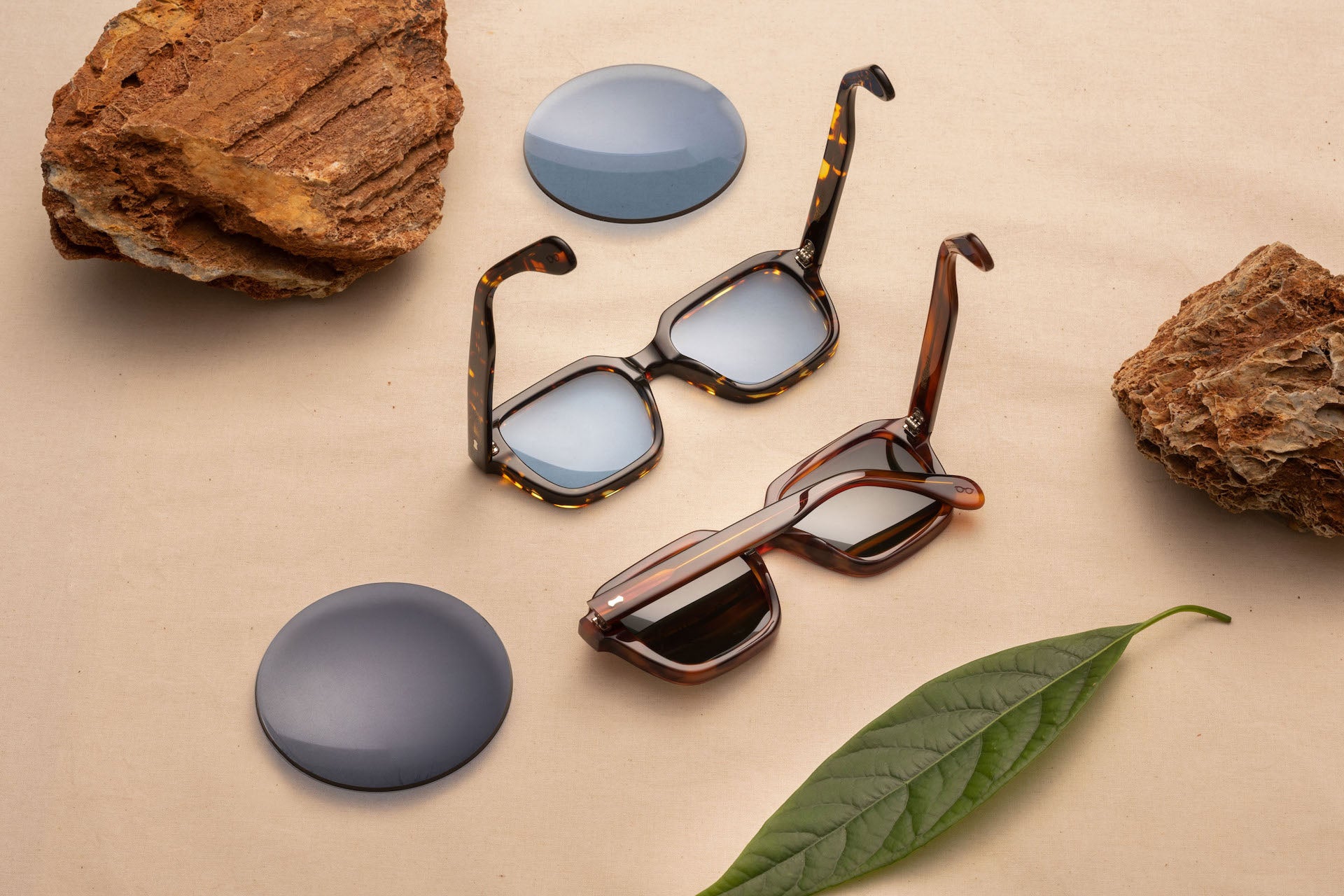 All eyewear Collections: sunglasses & eyeglasses | TBD Eyewear
