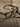 optical-tbd-eyewear-focus